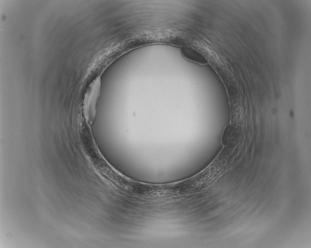 X0000070870736200607150120