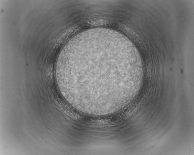 X0000070870737200607150121