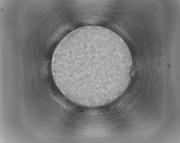 X0000070870738200607150121