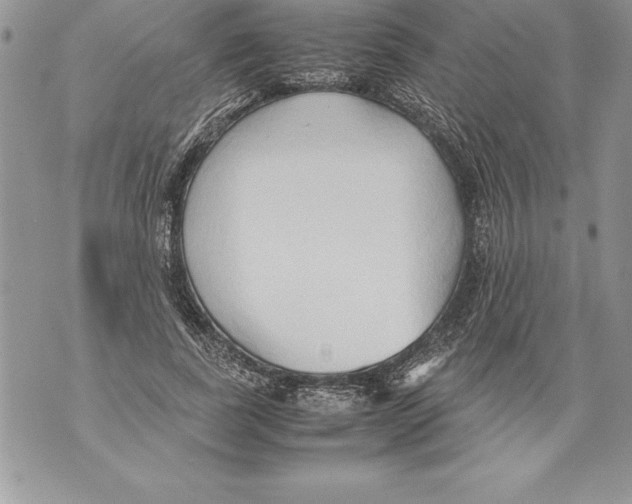 X0000070870739200607150121