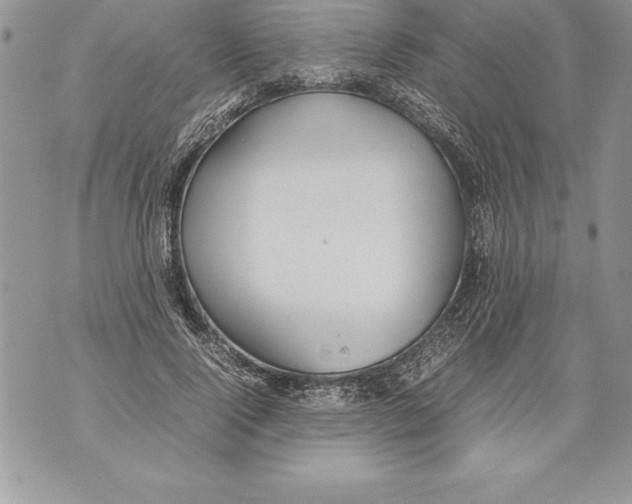 X0000070870740200607150121