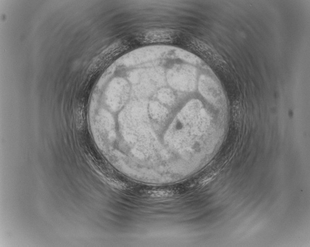 X0000070870741200607150121