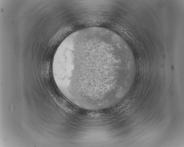 X0000070870742200607150121