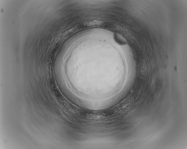 X0000070870743200607150121