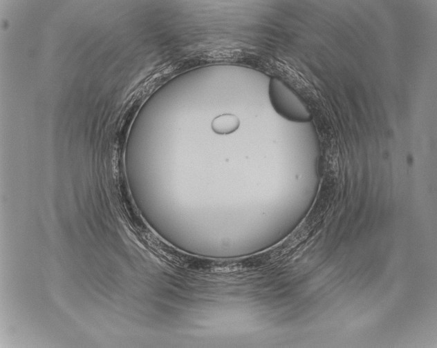 X0000070870744200607150121