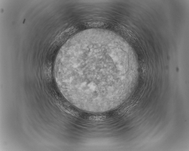 X0000070870745200607150121