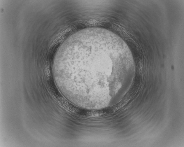 X0000070870746200607150121