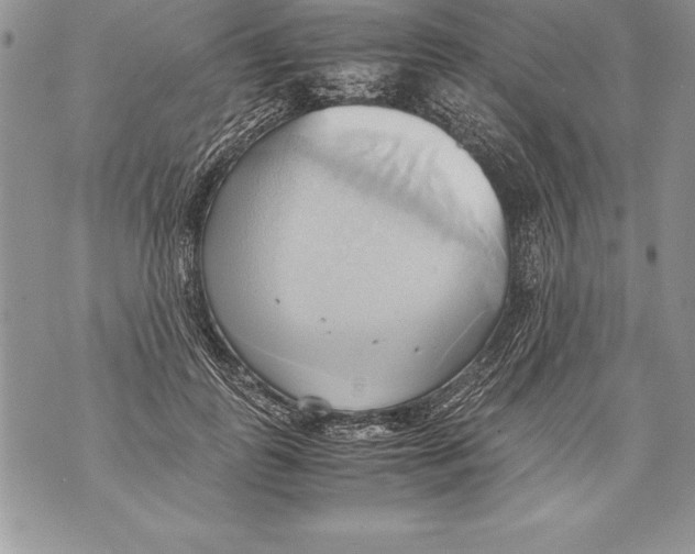 X0000070870747200607150121