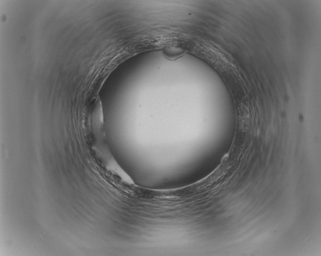 X0000070870748200607150121