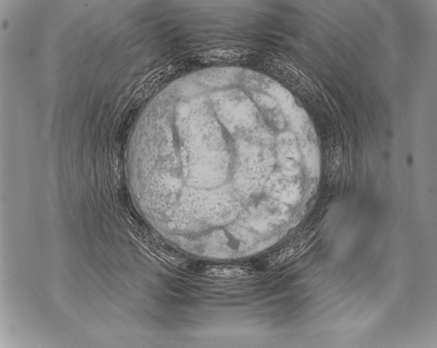 X0000070870749200607150121