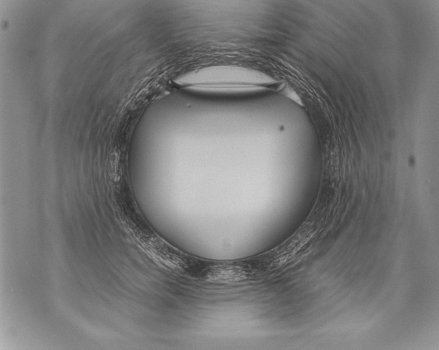 X0000070870750200607150121