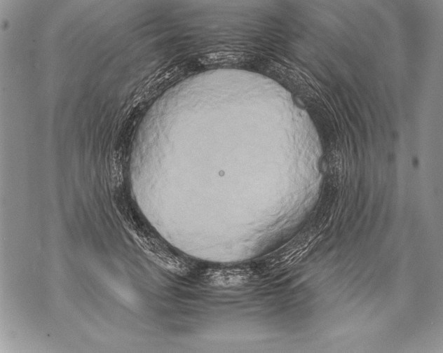 X0000070870751200607150121