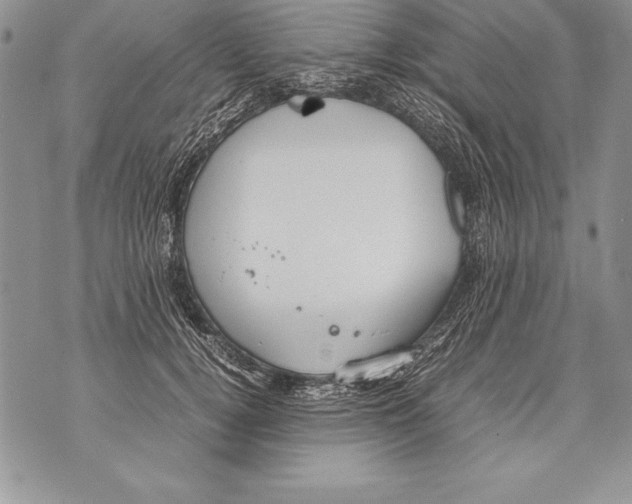 X0000070870752200607150121