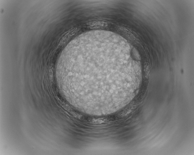 X0000070870753200607150121