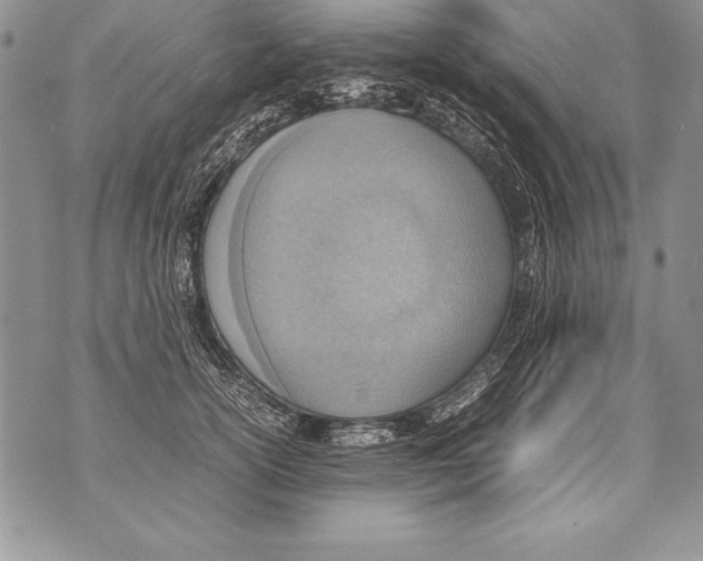 X0000070870754200607150121