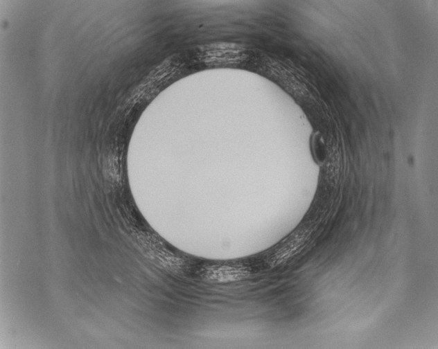 X0000070870755200607150121