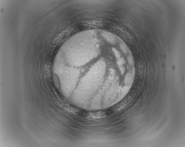 X0000070870757200607150121