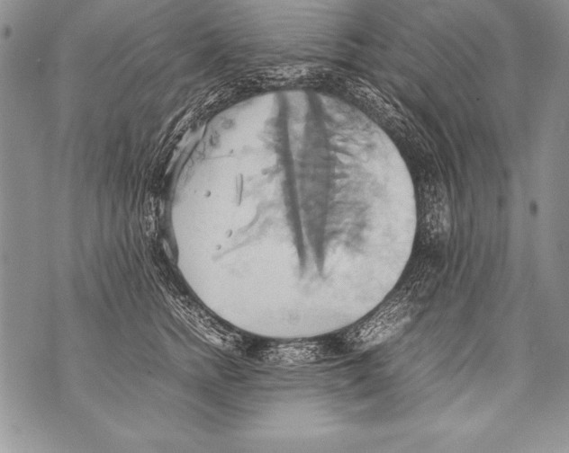 X0000070870758200607150121