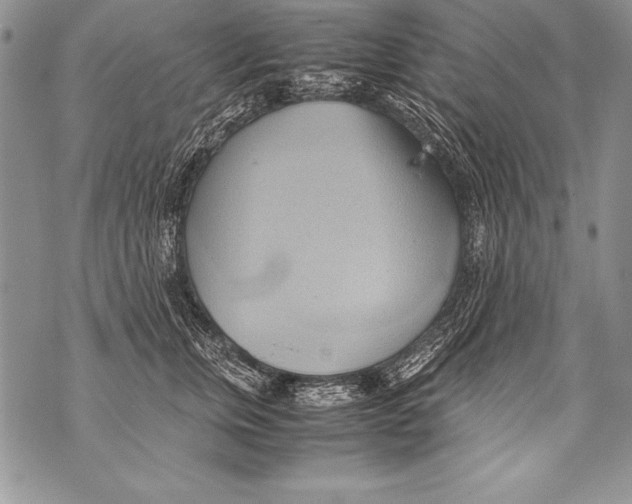 X0000070870759200607150121