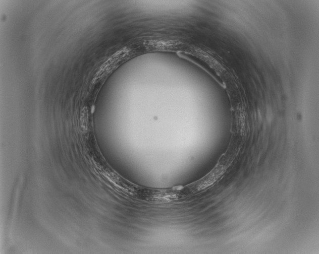 X0000070870760200607150121