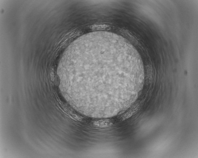 X0000070870761200607150121