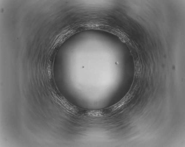 X0000070870762200607150121