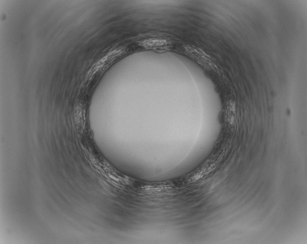 X0000070870763200607150121