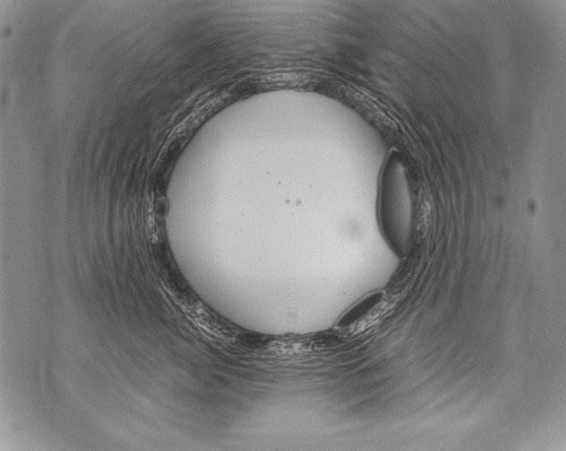 X0000070870764200607150121