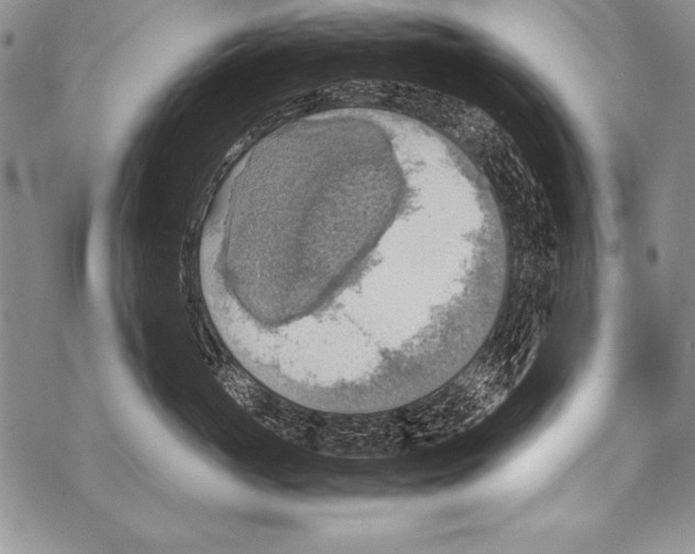 X0000070870765200607150121