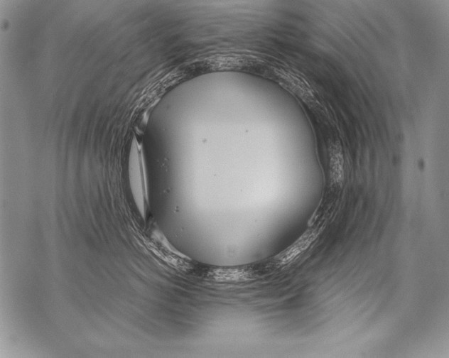 X0000070870766200607150121