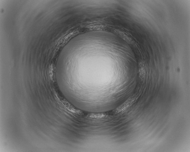 X0000070870767200607150121