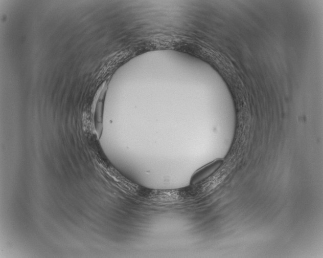 X0000070870768200607150121