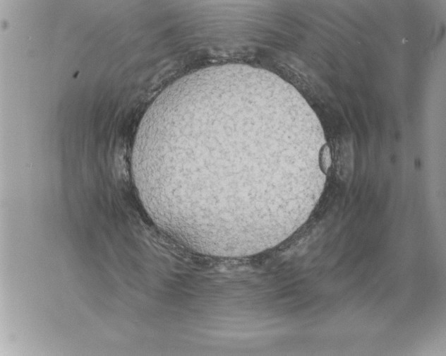 X0000070870770200607150120