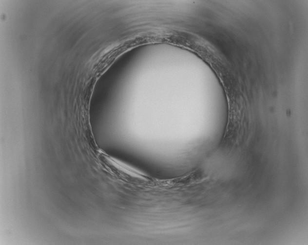 X0000070870773200607150120