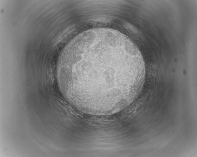 X0000070870774200607150120