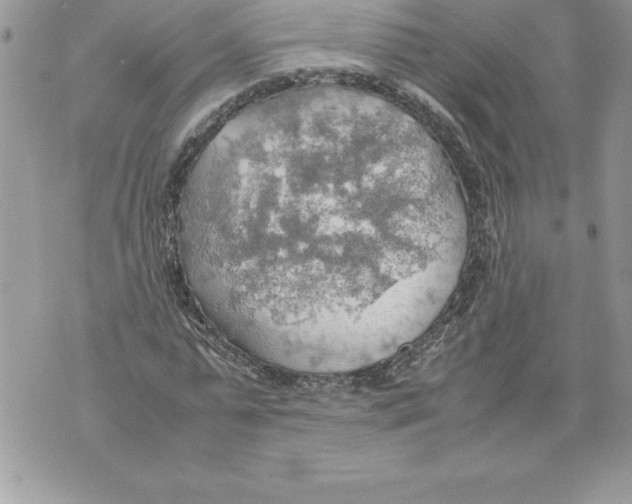 X0000070870775200607150120