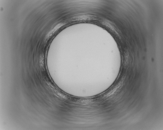 X0000070870778200607150120