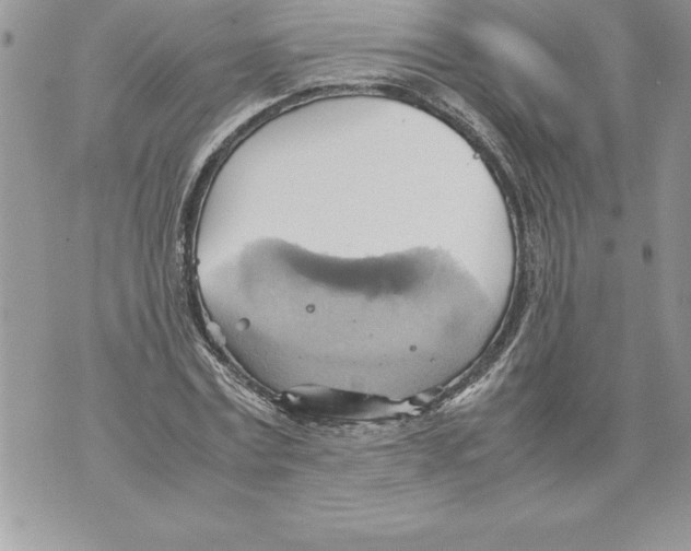 X0000070870779200607150120