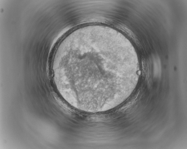 X0000070870780200607150120