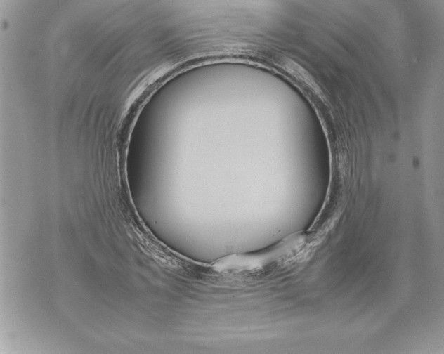 X0000070870781200607150120