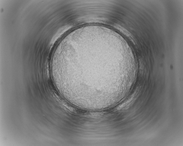 X0000070870782200607150120