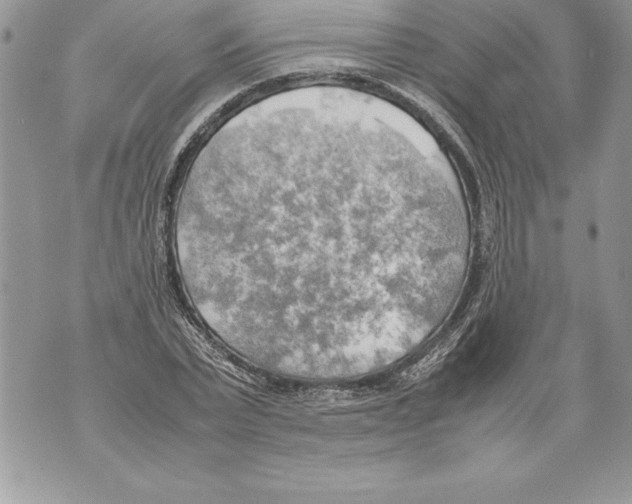 X0000070870783200607150120