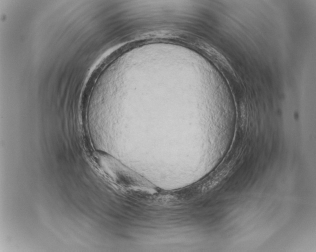 X0000070870784200607150120