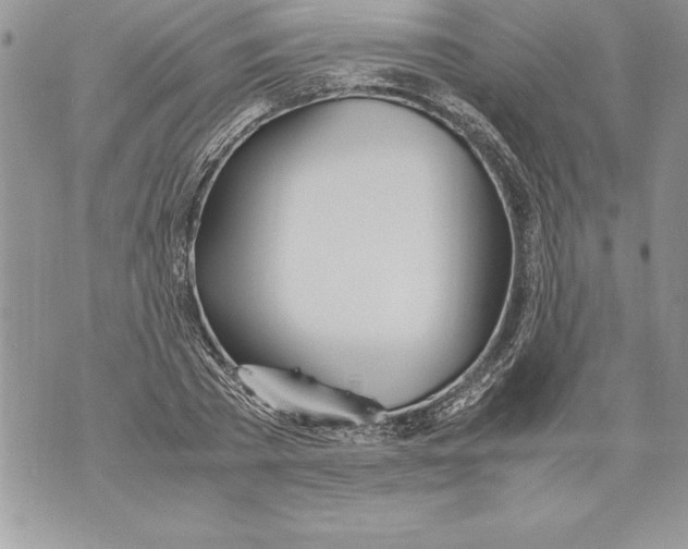 X0000070870785200607150120