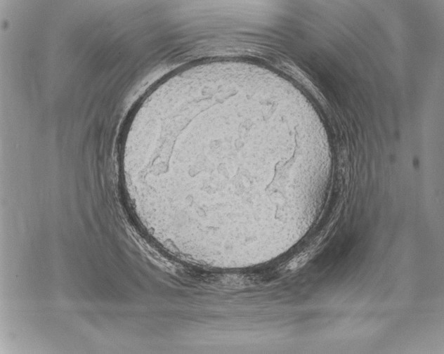 X0000070870787200607150120