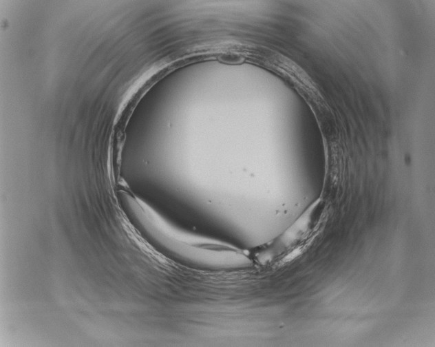 X0000070870788200607150120