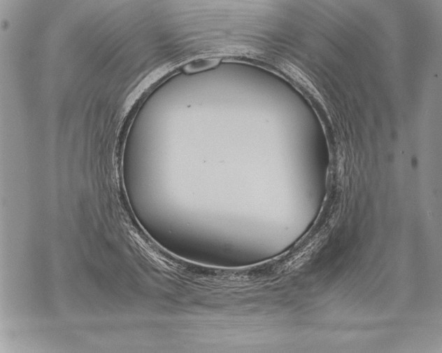 X0000070870789200607150120