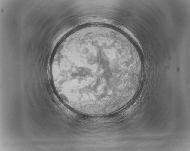 X0000070870791200607150120