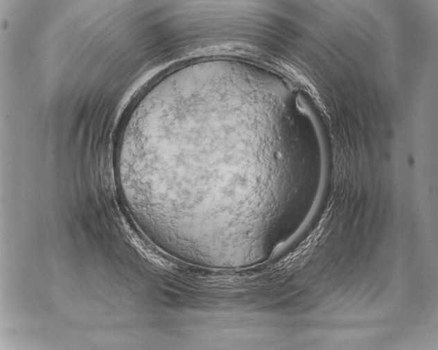 X0000070870792200607150120