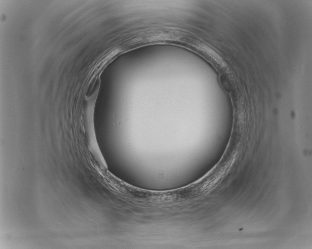 X0000070870793200607150120